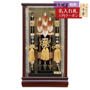 j| RpNg P[X 10 ԗ  ʎKXP[X HMF-1212-10-961 ȃXy[X  CeA j |j  