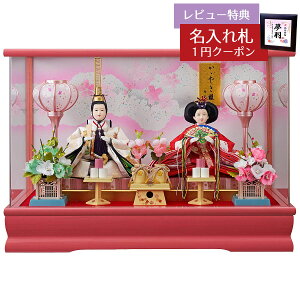 l` RpNg P[X  Oܐe ʐFLGh  ANP[X IS[t  HNFO-203-255ЂȂ l ЂȐl` 킢  CeA _  P[X