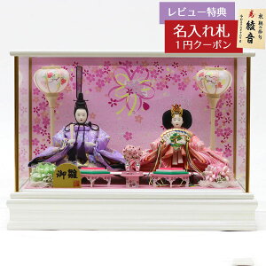 l` RpNg P[X ߏ֒ Oܐe KXP[X HNF-3S32216ЂȂ l ЂȐl` 킢  CeA _  P[X P[X  ~j [P10]