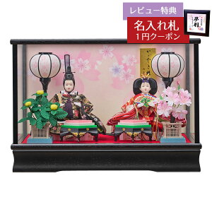 l` RpNg P[X ыG Oܐe  KXP[X  HNFO-233-238AЂȂ l ЂȐl` 킢  CeA _  P[X P[X  ~