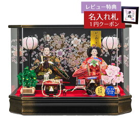 雛人形 コンパクト ケース飾り 彩美 三五親王飾り 六角 金ボカシ アクリルケース 藤翁 HNFO-233-205おひなさま お雛様 ひな人形 かわいい おしゃれ インテリア モダン 雛 ケース飾り ケース [P10]