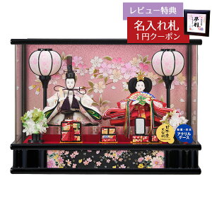 l` RpNg P[X  e h ANP[X  HNFO-253-201-1ЂȂ l ЂȐl` 킢  CeA _  P[X P[X  ~j 