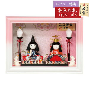 l` RpNg ؖڍݏ FT͂ z e sN{JVh KXP[X ؖڍݏ Lv HNH-HJ-161ЂȂ l ЂȐl` 킢  Ce