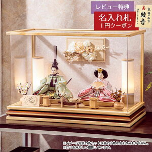 l` RpNg P[X ZV Hqe A[gt[ ؖ ANP[X Lv HNH-HJ-211ЂȂ l ЂȐl` 킢  CeA _  P[X 