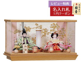 雛人形 コンパクト ケース飾り 陽 芥子親王 木目 タモ材 アクリルケース飾り 平安豊久 HNH-HJ-213おひなさま お雛様 ひな人形 かわいい おしゃれ インテリア モダン 雛 ケース飾り ケース 小さい ミニ [P10]