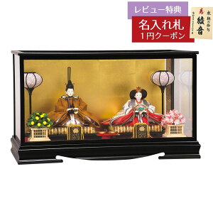 l` RpNg P[X RF ʏt h KXP[X Lv HNH-HJ-228ЂȂ l ЂȐl` 킢  CeA _  P[X P[X [P10]