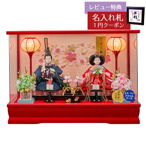 l` RpNg P[X  Oܐe  ʐFLGh  h?obN ANP[X IS[t  HNFO-243-257ЂȂ l ЂȐl` 킢  CeA _