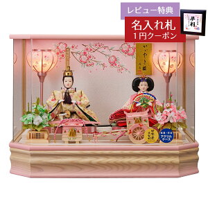 l` RpNg P[X  Oܐe  ؖ OZp ANP[X  HNFO-263-220ЂȂ l ЂȐl` 킢  CeA _  P[X P[X