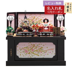 雛人形 コンパクト 収納飾り 衣裳着 三五親王 収納親王飾り 久月 HNQ-2206 (D-18 5HR-S52-Z)おひなさま お雛様 ひな人形 かわいい おしゃれ インテリア モダン 雛 コンパクト収納飾り [P10]