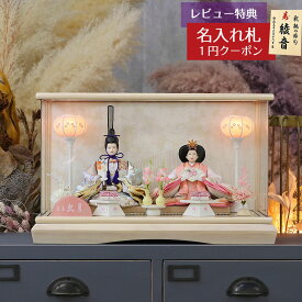 雛人形 コンパクト ケース飾り 久月 衣裳着 ケース入り 親王飾り 芥子親王 アクリルケース飾り 久月 HNQ-67607おひなさま お雛様 ひな人形 かわいい おしゃれ インテリア モダン 雛 ケース飾り ケース 小さい ミニ