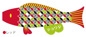 ̂ڂ v[J puca ii MTCYi0.8mj îڂ p ̂ڂ肨 킢 CeA _ OΉ { ǂ̓ [߂̐ߋ SsN u