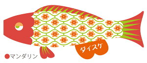 ̂ڂ v[J puca i~ STCYi0.6mj îڂ p ̂ڂ肨 킢 CeA _ OΉ { ǂ̓ [߂̐ߋ SCgu