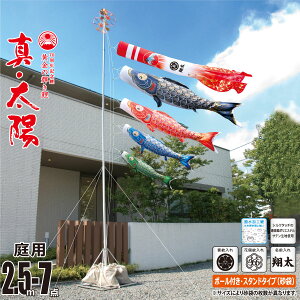 ̂ڂ p ^Ez 2.5m 7_ 뉀p X^hZbg +4C++[v+|[+뉀pX^hiܕtjZbgîڂ J^O i |GXe H Ɩ/Ԍ