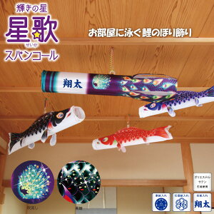 ̂ڂ  ̃XpR[ îڂ KOT-RM-123-740 p ̂ڂ  RpNg V Ǌ| 邵 ݂艺 Ɩ/Ԍ/OΉ ǂ̓ [߂̐ߋ 