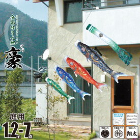 こいのぼり にわデコ 豪（ごう） 1.2m 7点 にわデコセット KOT-ND-410-224 ベランダ 庭用 ロープ式 ガーランド 鯉のぼり ポール不要 庭デコ 鯉4匹 徳永鯉のぼり カタログ 純正品 ポリエステル 撥水加工 家紋/花個紋/名前入れ対応 日本製
