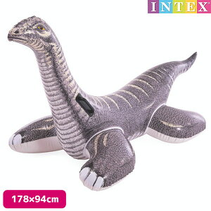 t[g vgTEX ChI Ώ۔NF3Έȏ SWM-FL-57584INTEX CebNX