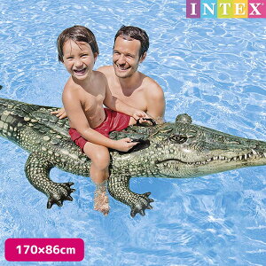 t[g AXebBNQ[^[ChI 170×86cm Ώ۔NF3Έȏ SWM-FL-57551INTEX CebNX A j^ AQ[^[ qp lp