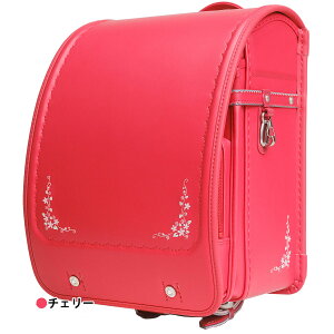 y1000~OFFN[|zzzhZ t[Mtg s^ sJb 2026Nf ̎q Vi  i ݃J[ pXeJ[ Vv  킢 tBbg A4N