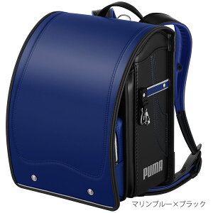 �y�|�C���g15�{�E1000�~OFF�N�[�|���z�z���z�����h�Z�� �V�g�̂͂� �v�[�} �X�s�[�h�X�^�[ 2026�N���f�� �j�̎q �V�i PUMA PREMIUM �X�|�[�e�B �T�b�J�[ ������� A4�N���A�t�@�C�� A4�t���b�g�t�@