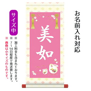 O |  ij ̓vgBX^h͕t܂Bl ЂȍՂ Ղ ߋ  ~ ̎q O TPSNK-STG-001M