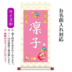 O | ԏ ij ̓vgBX^h͕t܂Bl ЂȍՂ Ղ ߋ  ~ ̎q O TPSNK-STG-007M