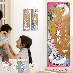 O ؐZO F ȂłF [P10]l ЂȍՂ Ղ ߋ  ~ ̎q O TPT-601-301 