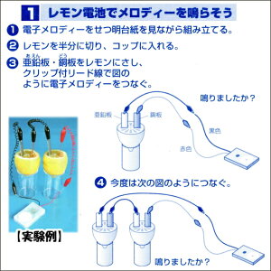 楽天市場 実験キット くだもの電池セット あす楽 学校教材ネットショップ