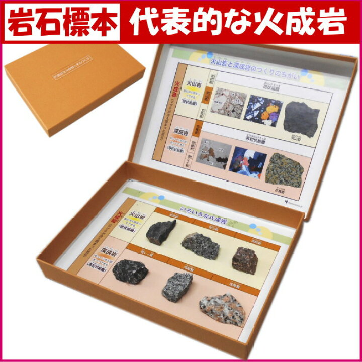 楽天市場 理科教材岩石標本代表的な火成岩とそのつくり6種組 あす楽 学校教材ネットショップ