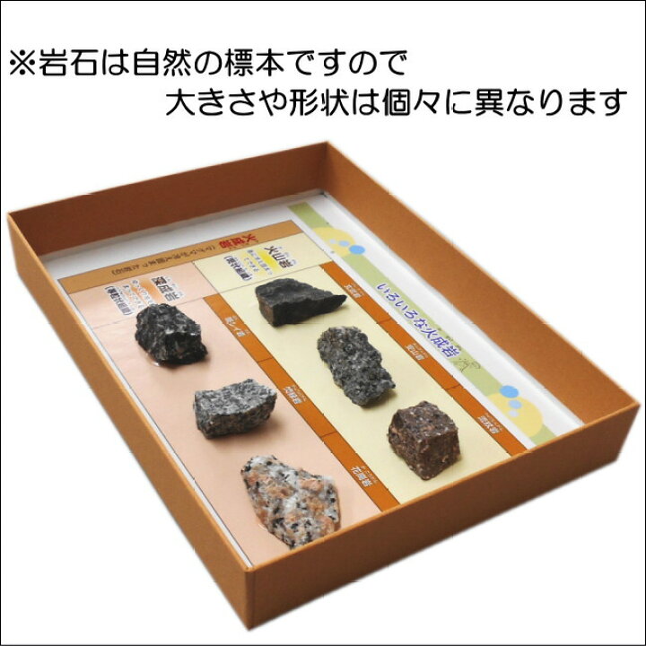 楽天市場 理科教材岩石標本代表的な火成岩とそのつくり6種組 あす楽 学校教材ネットショップ