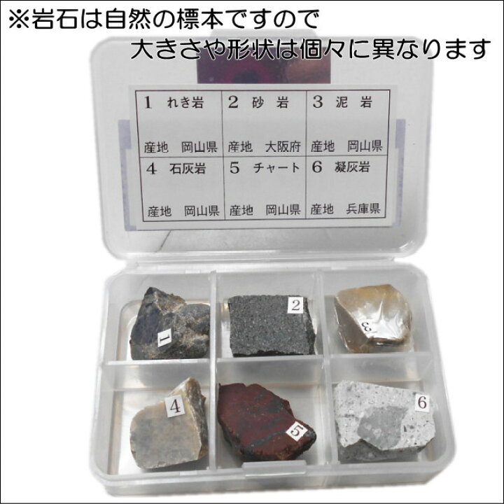 楽天市場】たい積岩標本 6TJ 研磨・中学校用理科教材 実物岩石標本 
