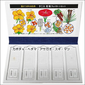 楽天市場 プレパラランド3種類セット 花粉 植物 微生物 学校教材ネットショップ