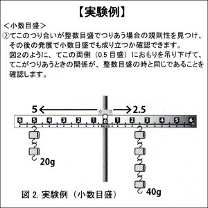 楽天市場 実験用てこ 0 5目盛付 学校教材ネットショップ