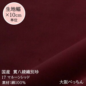 y݌Ɍz17 }[bhyY єD ʒ n 10cmPʔ̔zÂԌnFyӁGA]sgpłFߒłɃA]邽߈ߗւ̗p/NQ