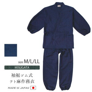 yz얱 Y { ނ j ̓ Mtg 났 Seg얱 M/L/LL Z IKISUGATAyRCPz