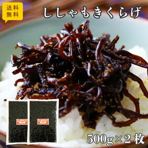  炰 500g×2 p |Xg ^[pbNz ώ  یՐHi т̂ Ђ  ٓ  ɂ   ۑH  