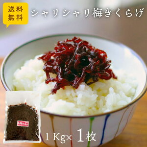  VV~炰 1kg 1 Ɩp e [ |Xg ώ   یՐHi т̂ ɂ  ٓ  ۑH  JJ~ ~ ~ 