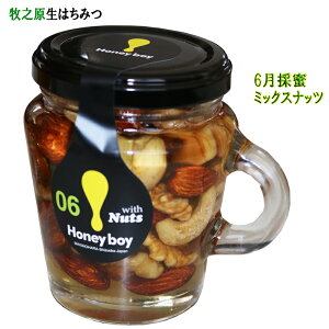 ݂͂ É qV 6̖ Hanyboy 06 M Ȃ܂݂͂ _ VRI I Y nj[ n݂͂ ~bNX ibc  Y  M