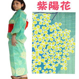 AWTC  fB[X 䂩   dďオ