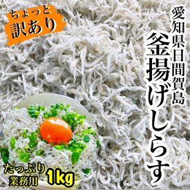新物06月22日獲れたて、出来たて！数量限定！★送料無料★釜揚げしらす業務用1kg愛知県日間賀島産業務用釜揚げしらすしらす