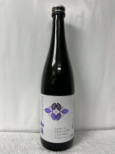 3NɋyԒI(ʌi) OuCNI  oHWX45 gđ ӂȂ܂l Plus(vX) 720ml (v①)