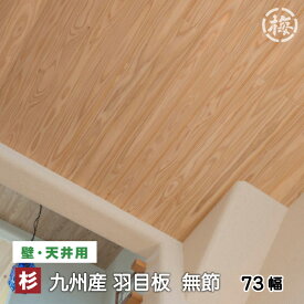 楽天市場 目 透かし 天井 材の通販