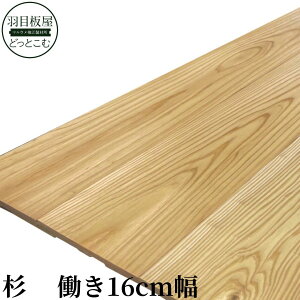 t[Oij߁E㏬@11×160×1985mm@{˂tHhEdグ VR  C mx[V ւ CeAf ϋvQ