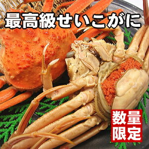 yĥTCYł̂ő蕨ɂ҂łzlI䥂ŁIIō傹1tByzOɁzyɁzy΂zyyMtz