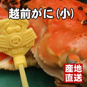 ̖ỏloIẴuhKj̔̔łB蔲ɏzO킢ɁyyMtzySS10P02dec12z