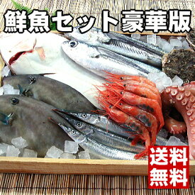 【板前ご用達の超豪華版】福井の最高級魚介類詰め合わせ【鮮魚】