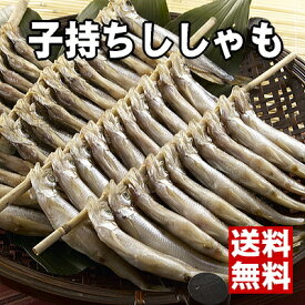 楽天市場 国産 シシャモの通販