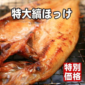 yLpBIzӂW[V[Ȃق̈銱yyzyyMtzyz