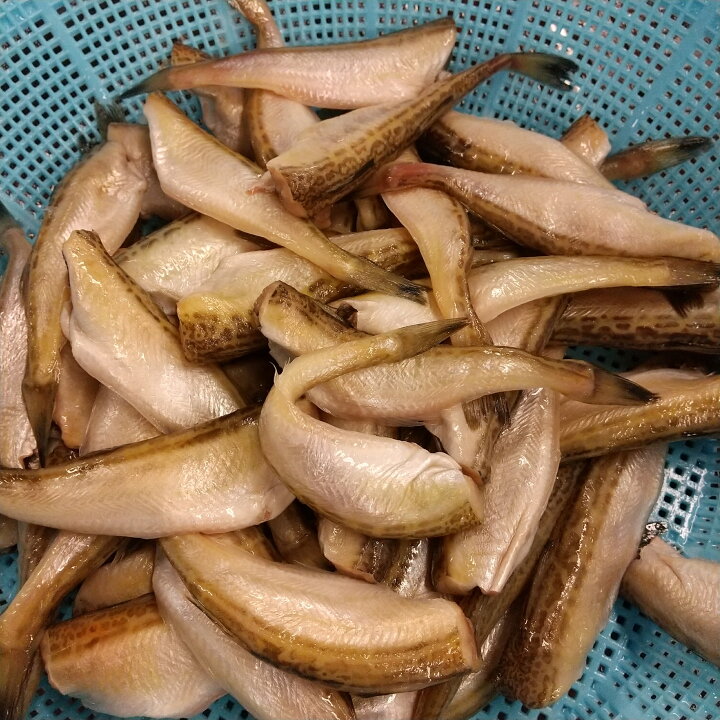 楽天市場 ハタハタ1kg 50 60尾 料理済 魚 お魚 さかな 詰め合わせ 海産物 魚介類 魚介 はたはた ハタハタ 煮付け 塩焼き 焼き魚 焼魚 魚料理 詰め合わせ 大容量 大量 送料無料 マグロ問屋マルウオ 楽天市場店