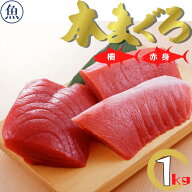 本マグロ 本まぐろ 赤身 セット 柵 1kg 1キロ 海産物 鮮魚 マグロ さく まぐろ 冷凍マグロ 鮪 直送 冷凍 …