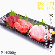 本マグロ 大トロ 中トロ 中とろ 本鮪 赤身 200g 柵 合計600g 3種 鮪 まぐろ 刺し身 刺身 お刺身 冷凍 マ…